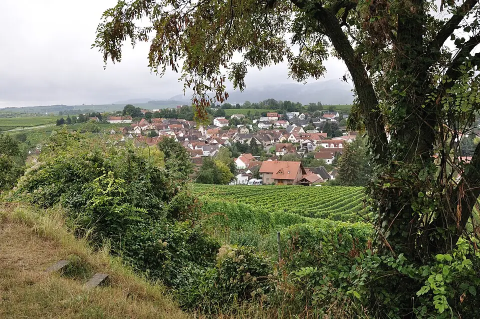 Ansicht von Ilbesheim bei Landau in der Pfalz