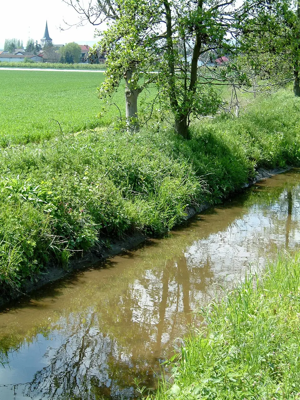 Ansicht von Laumersheim