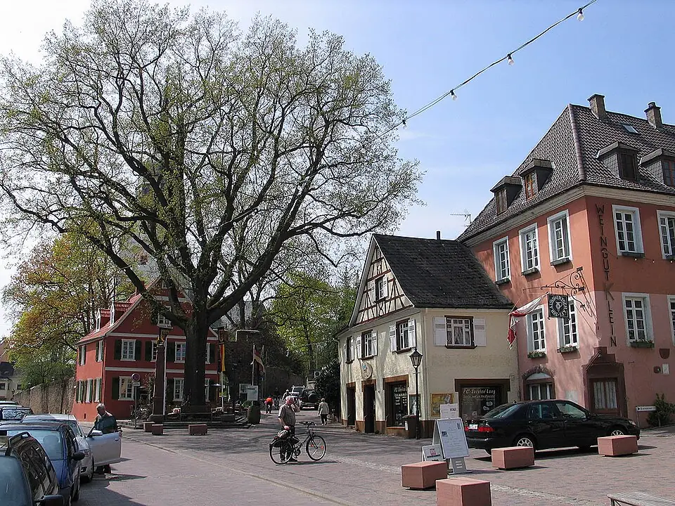 Ansicht von Nierstein