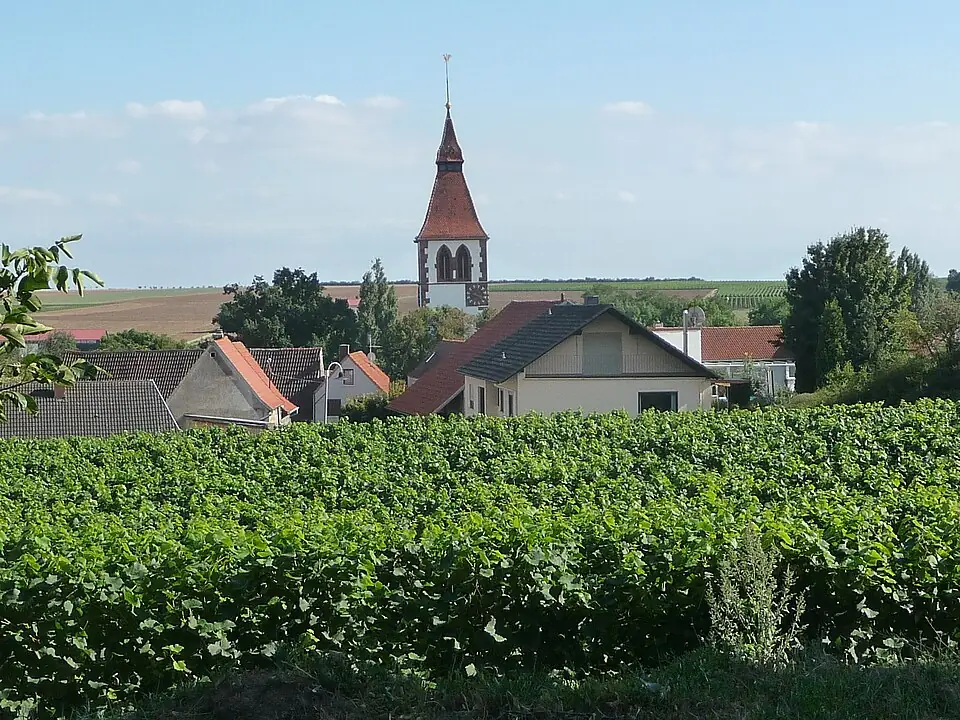 Ansicht von Obrigheim (Pfalz)