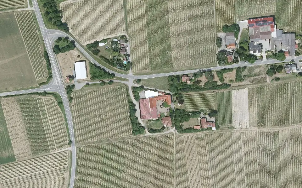 Luftbild der Umgebung von Weingut Bastianshauser Hof in Bechtheim