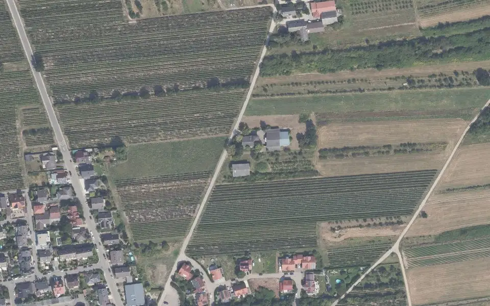 Luftbild der Umgebung von Weingut Braun in Ellerstadt