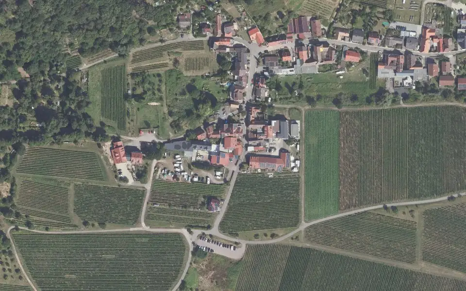 Luftbild der Umgebung von Weingut Carl Disson in Neustadt an der Weinstraße