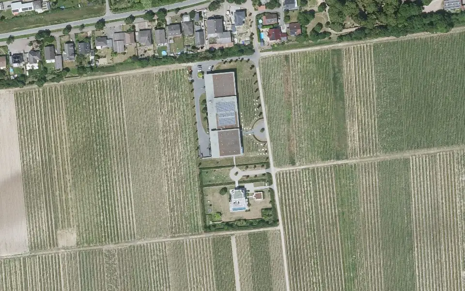 Luftbild der Umgebung von Weingut Dreissigacker in Bechtheim