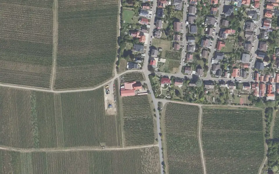 Luftbild der Umgebung von Weingut Eberhard Wilhelm in Maikammer