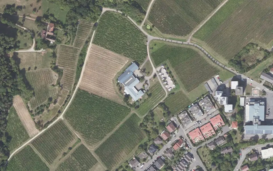 Luftbild der Umgebung von Weingut Hitziger in Bad Bergzabern