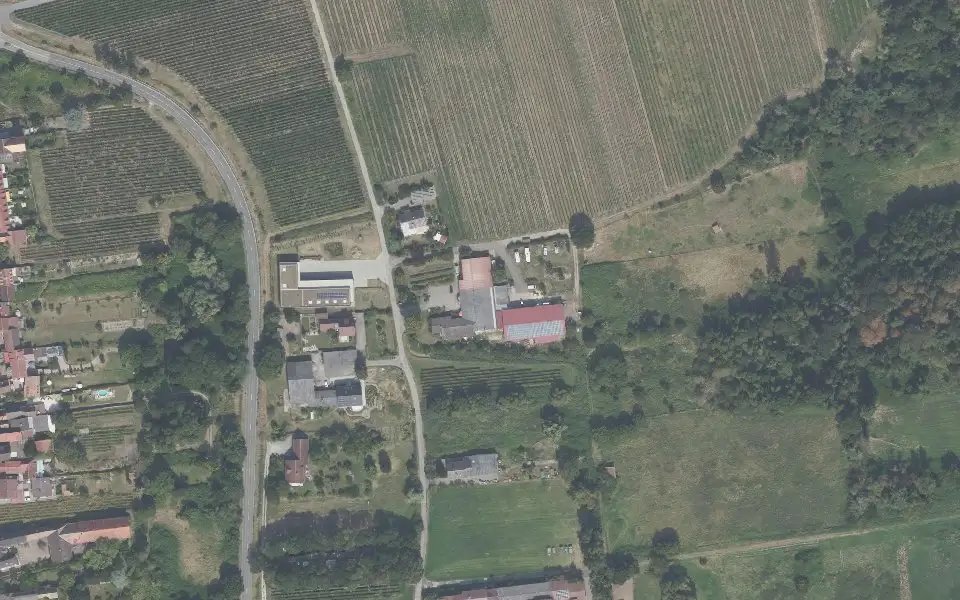 Luftbild der Umgebung von Weingut Margarethenhof in Forst an der Weinstraße