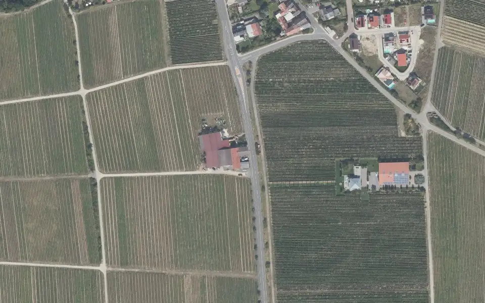 Luftbild der Umgebung von Weingut Matthias Hery in Deidesheim