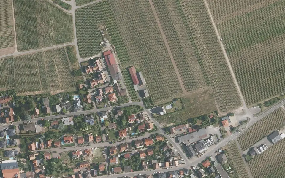 Luftbild der Umgebung von Weingut Noll in Kallstadt