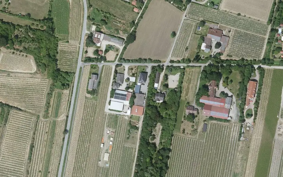 Luftbild der Umgebung von Weingut Schmitt in Mettenheim