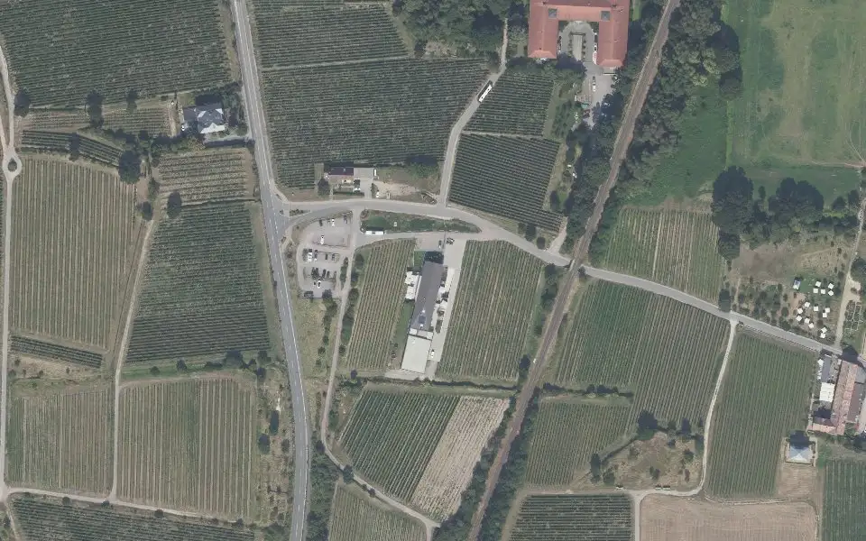 Luftbild der Umgebung von Weinwerk Reinhardt in Ruppertsberg